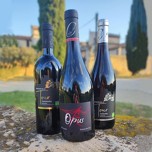 Visit and tasting at Domaine de la Tour