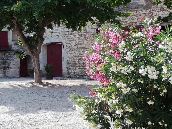 Visit and tasting at Domaine de la Tour