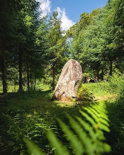 Le menhir de Kerhue