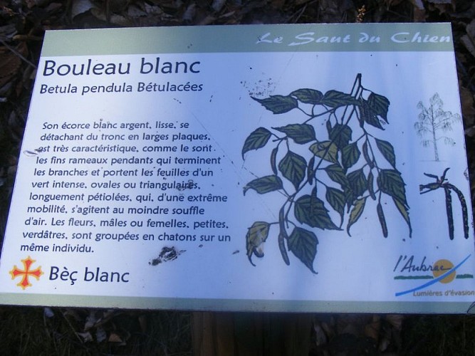image du object