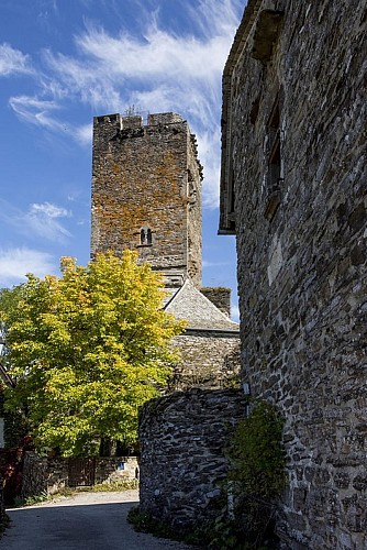 Château de Valon