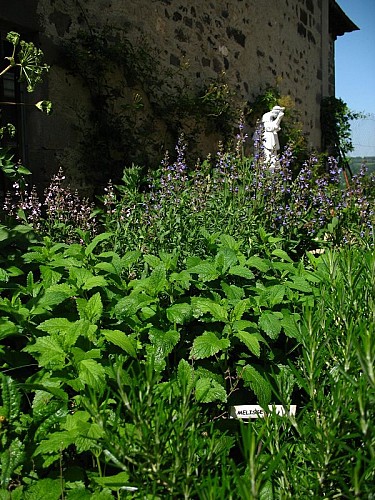 Eglise Saint Thomas de Canterburry et le jardin de Marie