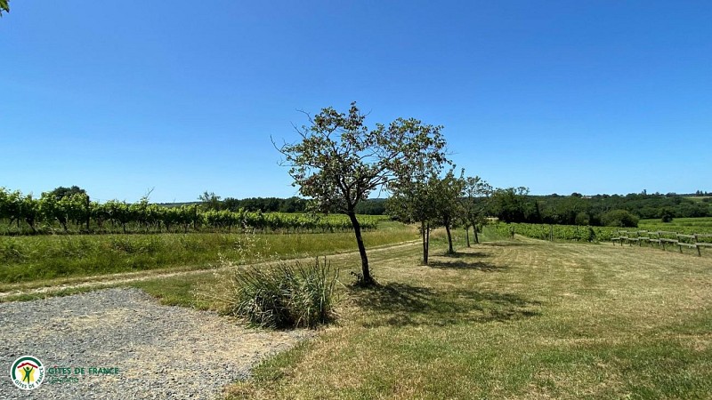 photo4