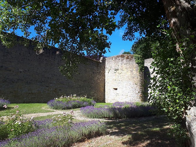 Jardin feuilles