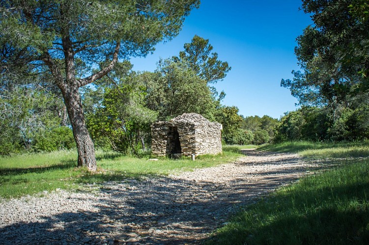 Domaine d'Escattes