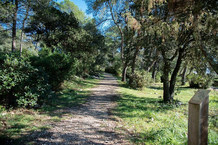 Parc & Arboretum de Vacquerolles