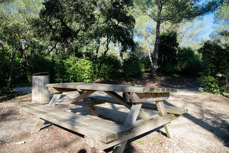Parc & Arboretum de Vacquerolles