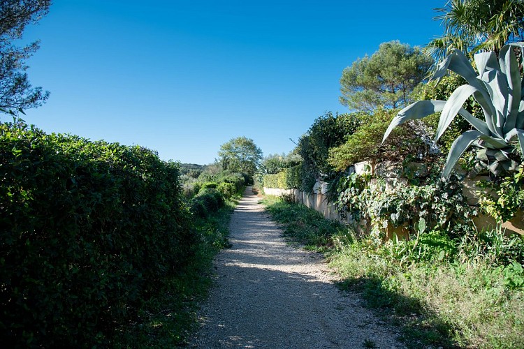 Parc & Arboretum de Vacquerolles