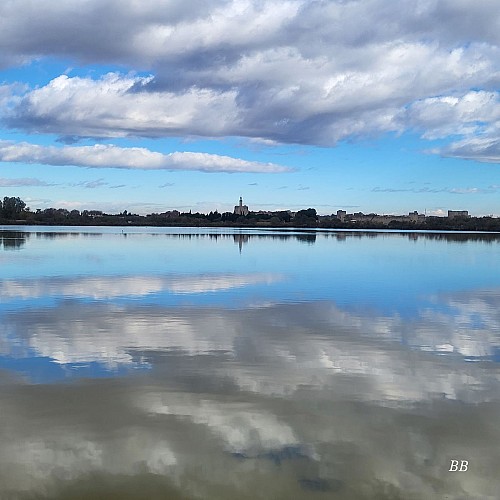 Etang de la Marette