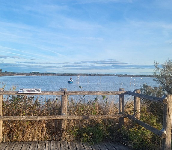Etang de la Marette