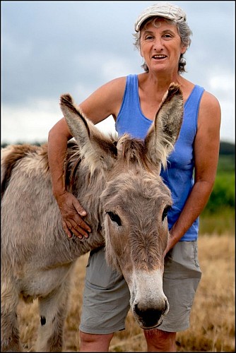 Balade avec un âne - Au Pas de l'Âne