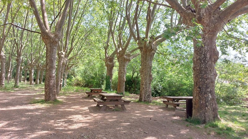 Picnic area