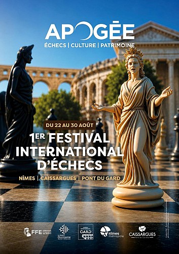 Public Speaking Contest - Apogée Festival