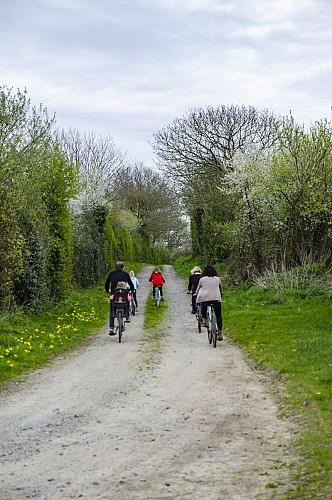 LE LOGIS DE CONCISE -  GITE LA MAISONNETTE