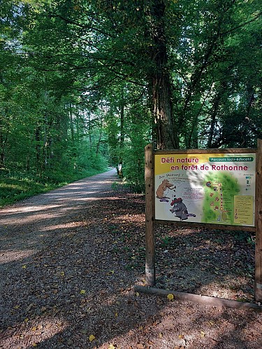 image du object