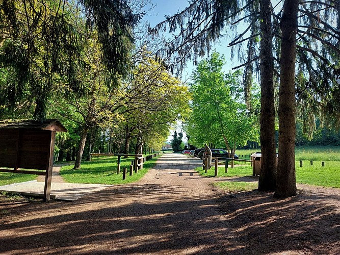 Nature Challenge: A Fun and Educational Trail in the Rothonne Forest
