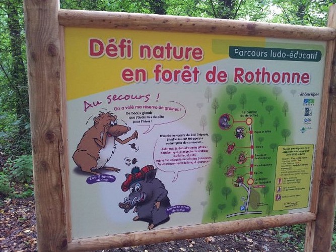 Défi nature : parcours ludo éducatif en forêt de Rothonne