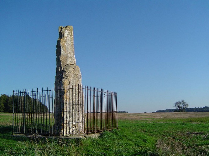 MENHIR DE LA HAUTE BORNE