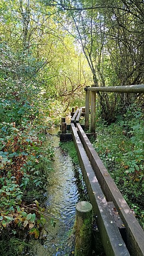 Marais du Maravant
