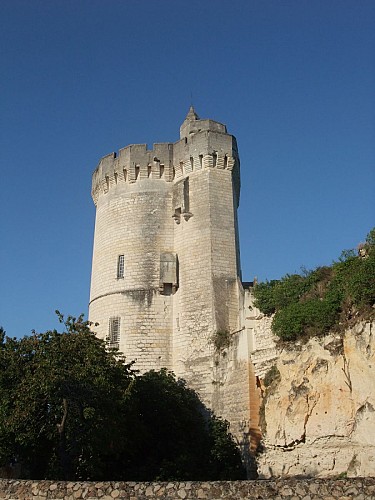 CHÊNEHUTTE-TRÈVES-CUNAULT
