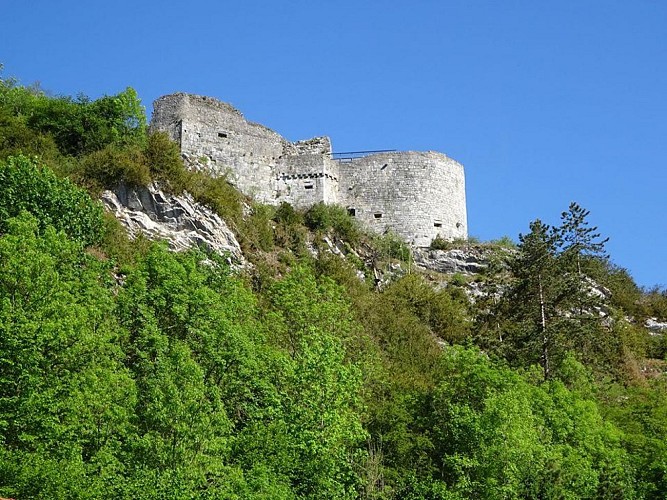 Ruines de crèvecoeur