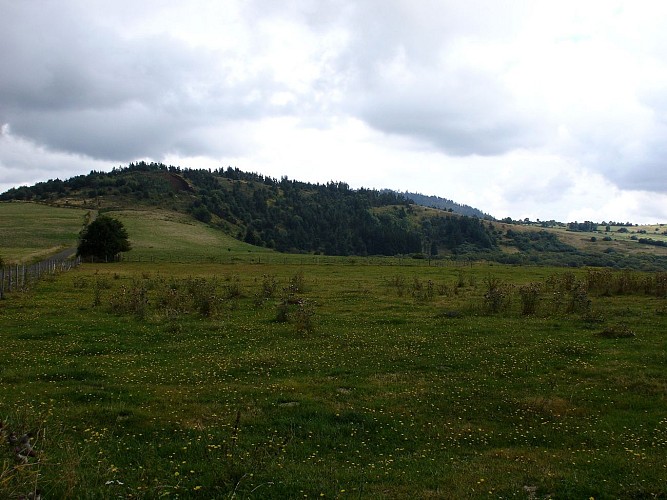 Sortie volcanique et tectonique : le puy de l'Enfer et la Narse d'Espinasse