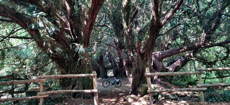 Location vélos Saint-Junien - Découverte Chéronnac