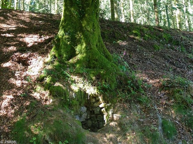 image du object
