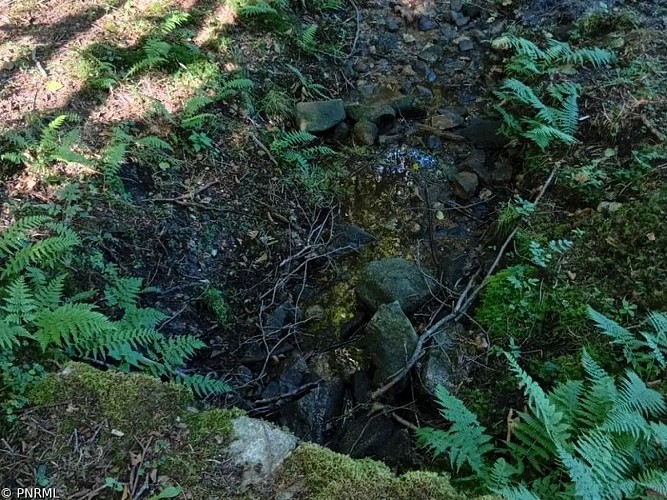 La Source pour les Dents