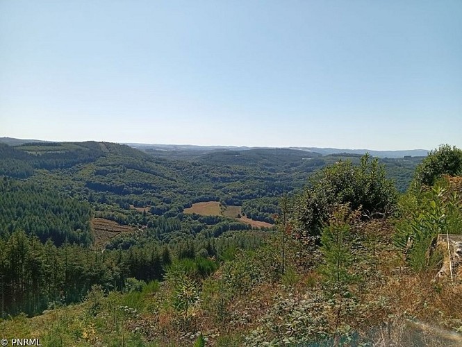 image du object