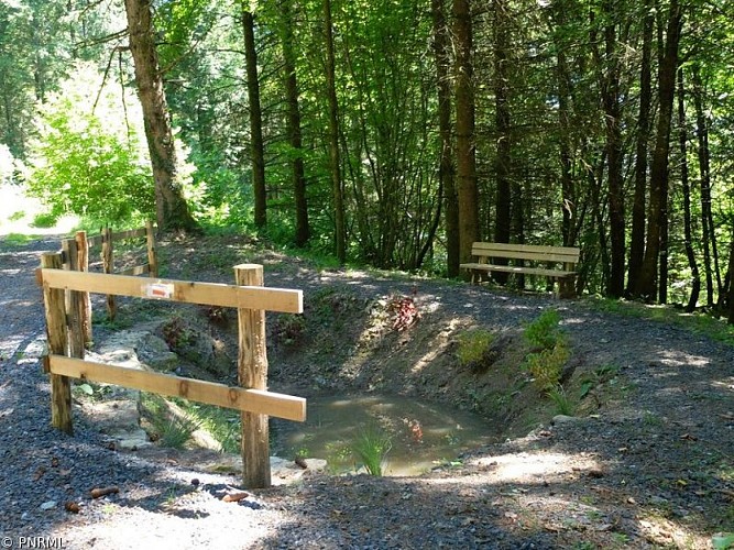 La Source des Animaux
