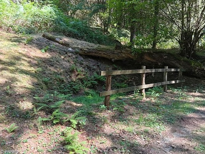 La Source des Animaux