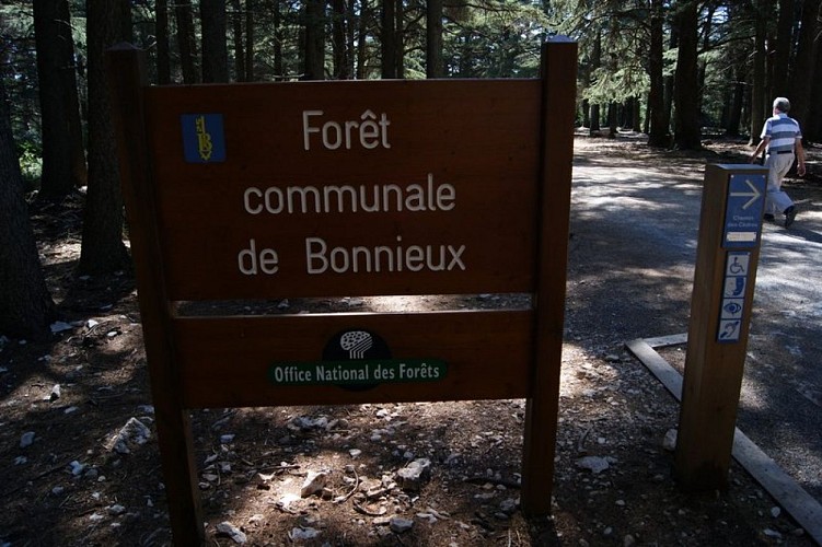 Entrée de la forêt de Bonnieux