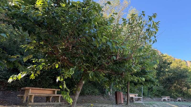 image du object