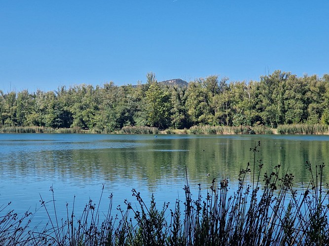 Aire de pique-nique du lac Joël Siguret aux Mées