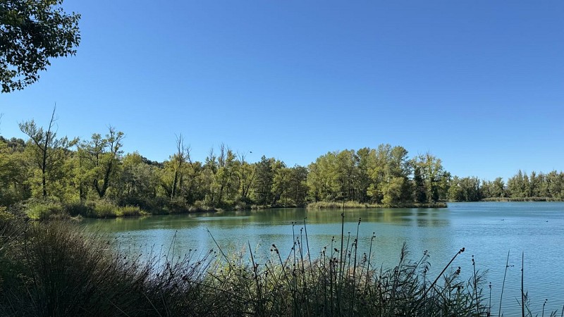 Aire de pique-nique du lac Joël Siguret aux Mées