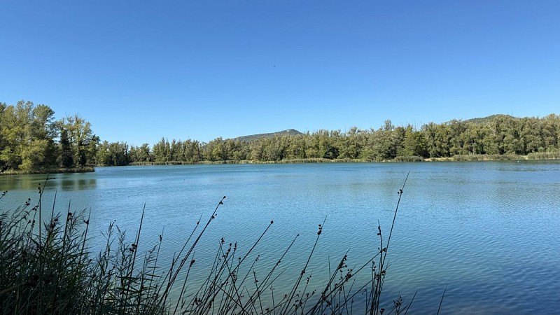 Aire de pique-nique du lac Joël Siguret aux Mées