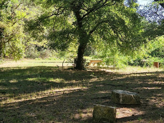 Aire de pique-nique du Carré des Pins aux Mées