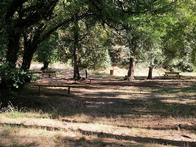Aire de pique-nique du Carré des Pins aux Mées