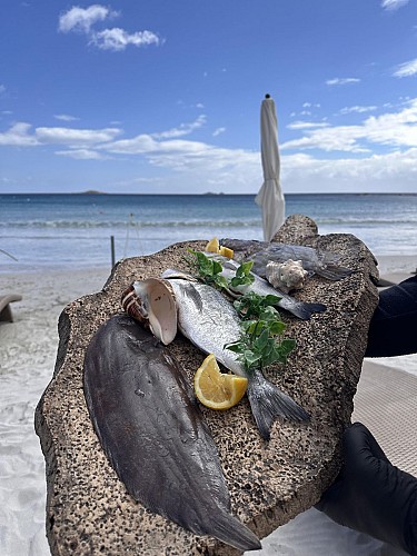LE PALM BEACH PALOMBAGGIA