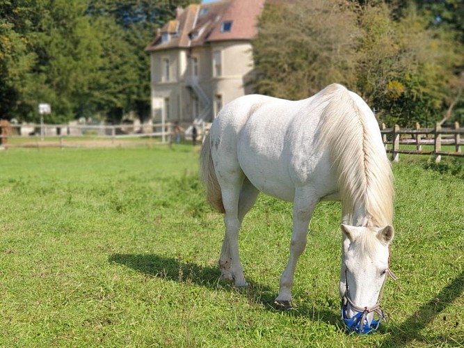 uncmt-tailleville-parc-1200