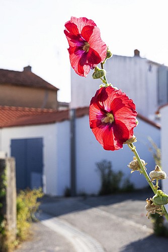 LE VILLAGE DE LA GACHÈRE