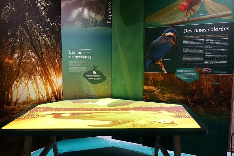 Maison de la Nature de la Grenouillère