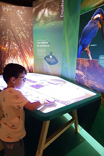 Maison de la Nature de la Grenouillère