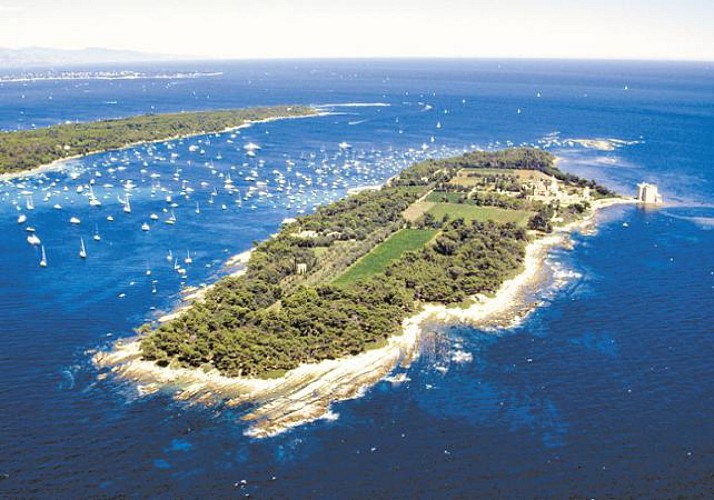 Traversée aller-retour vers l'île St Honorat - depuis Cannes