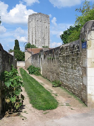 Tour Carrée et son jardin d'inspiration médiévale