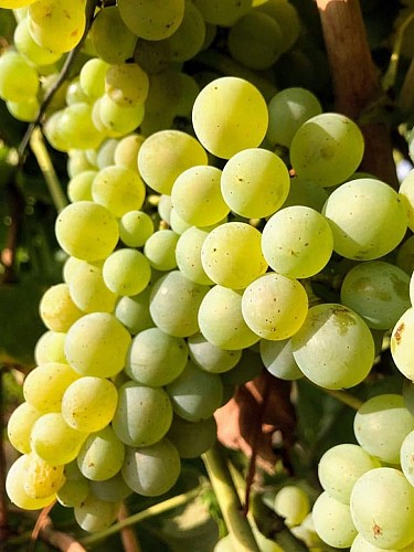 AIRE DE STATIONNEMENT DU DOMAINE DES DEUX MOULINS