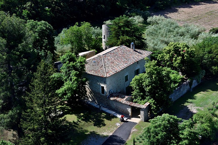 Discovery of the cultivation of the olive tree with the Arizzi Mill