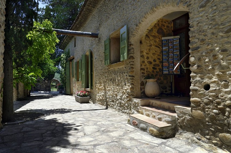 Découverte de la culture de l'olivier avec le Moulin Arizzi