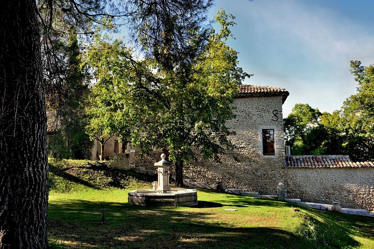 Découverte de la culture de l'olivier avec le Moulin Arizzi